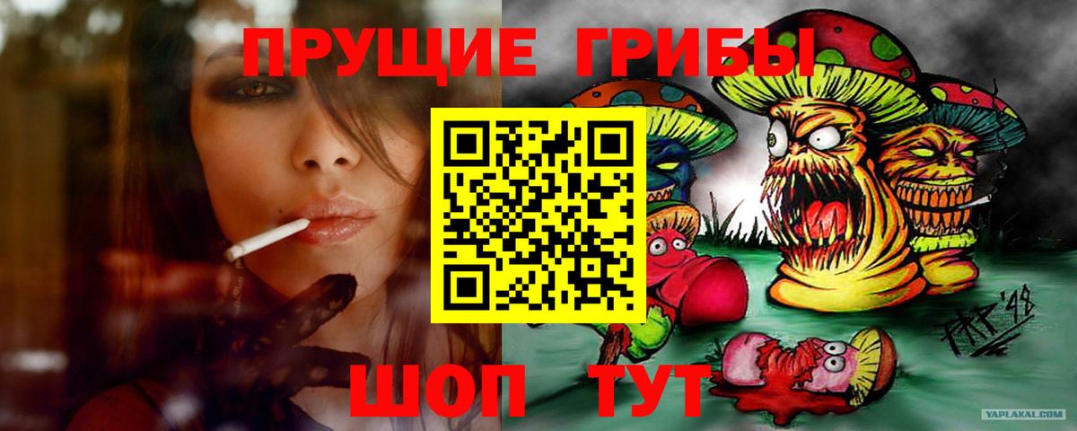 Назрань  Галлюциногенные грибы мицелий  Вход с VPN  Псилоцибиновые грибы MAGIC MUSHROOMS 